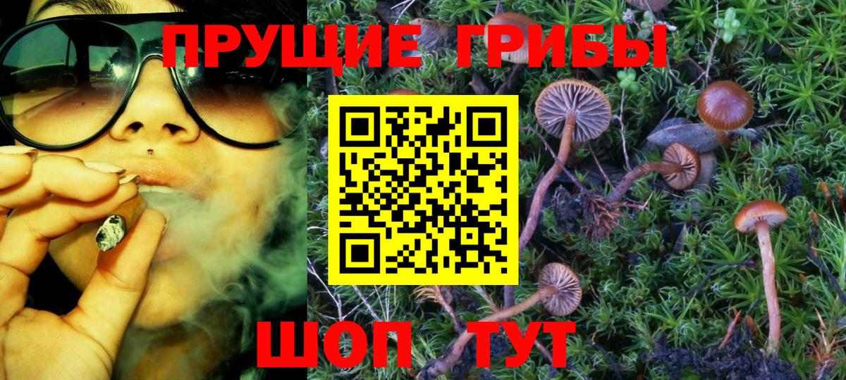 Галлюциногенные грибы Magic Shrooms  Вход с VPN  Нижний Новгород 