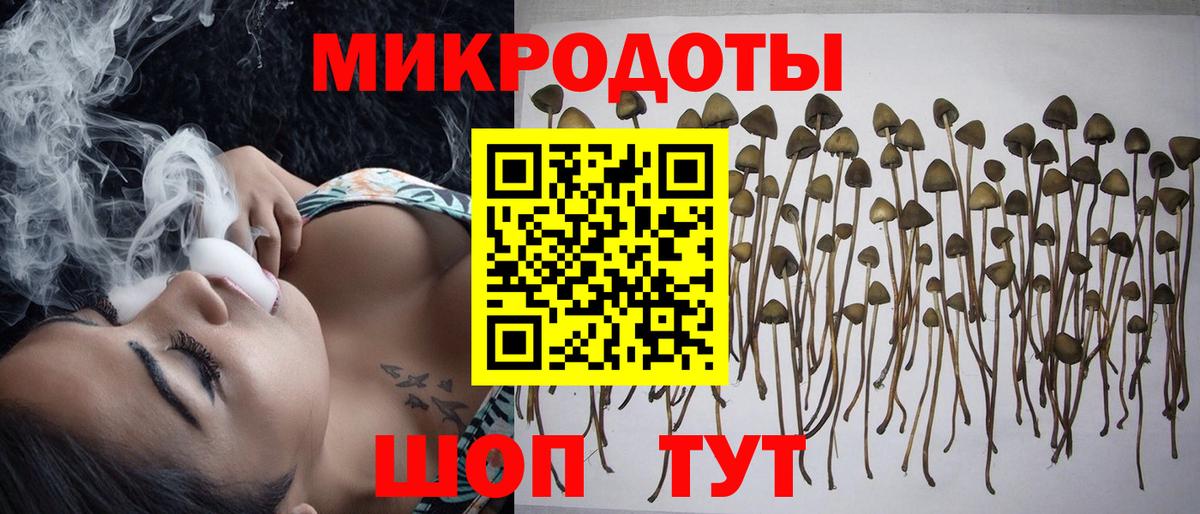 Псилоцибиновые грибы мицелий Нижний Новгород